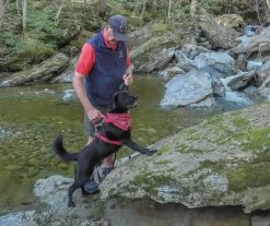 Kurgo Journey Air Harness -Freedom Camping Store 2 dogs catamount 4 kurgo b