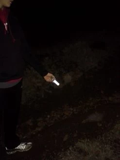 LazerBrite Multi-Lux Unit -Freedom Camping Store 20131108 051159