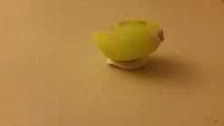 Amphipod Swift-Clip Cap Light -Freedom Camping Store 20161001 220602