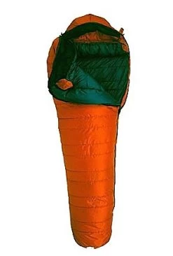 Feathered Friends Eider