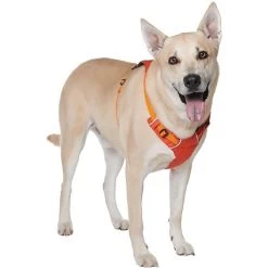 Ruffwear Hi & Light Harness -Freedom Camping Store 460 136