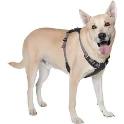 Ruffwear Hi & Light Harness