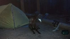 Texsport First Gear Cliffhanger -Freedom Camping Store CliffhangerTent