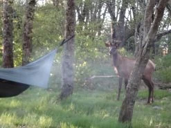 Hennessy Hammock Ultralight Backpacker Asym -Freedom Camping Store DSC03331