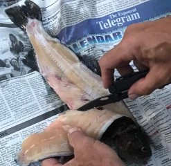 Leatherman Wave -Freedom Camping Store FullSizeRender 4