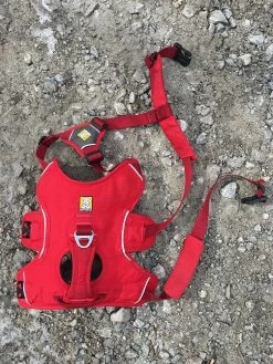 Ruffwear Web Master Harness -Freedom Camping Store IMG 0806