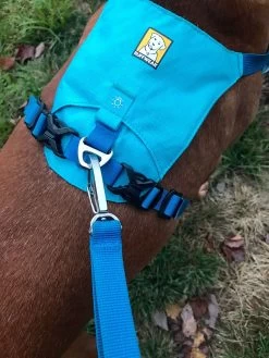 Ruffwear Hi & Light Harness -Freedom Camping Store IMG 1605
