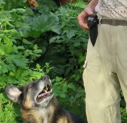 U-Dig-It Pro Folding Shovel -Freedom Camping Store IMG 2159