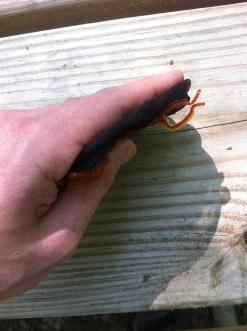 GSI Outdoors Ultralight Java Drip -Freedom Camping Store IMG 3119