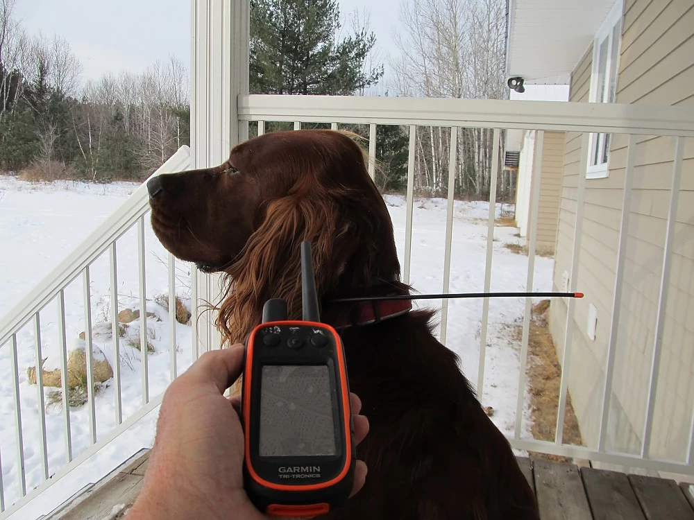 Garmin Astro 900 4 Garmin Astro 900 - Image 2