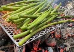 Vargo Titanium BiFold Grill -Freedom Camping Store IMG 4284