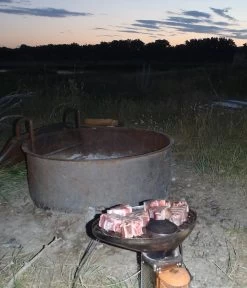 BioLite CampStove Grill -Freedom Camping Store P8060017