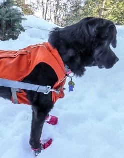 Ruffwear Overcoat Fuse Harness Jacket -Freedom Camping Store RUFFWEAR fuse front tug