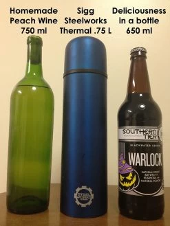SIGG Steelworks Thermal .75 Liter Ring Bottle -Freedom Camping Store Sigg