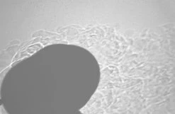 Soto WindMaster -Freedom Camping Store SotoSch08