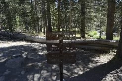 National Geographic John Muir Trail Topographic Map Guide -Freedom Camping Store Tuol023