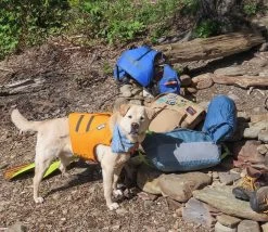 Ruffwear Haul Bag -Freedom Camping Store canoedog37and38 40