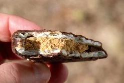 Honey Stinger Cracker Bar With Protein -Freedom Camping Store crackerbar cross 2000