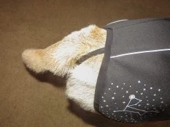 Stunt Puppy Sub Woofer -Freedom Camping Store dogcoat 8