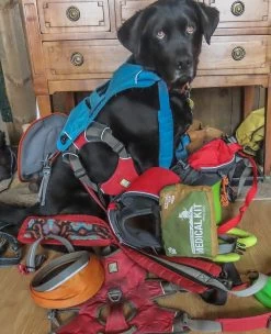 Ruffwear Haul Bag -Freedom Camping Store gear pile haul bag
