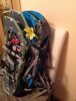 Deuter Guide Tour 35+ SL -Freedom Camping Store image 2671