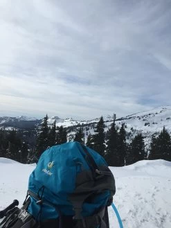 Deuter Guide Tour 35+ SL -Freedom Camping Store image 2672