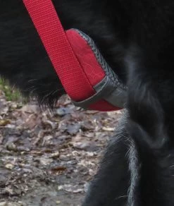 Kurgo Journey Air Harness -Freedom Camping Store kurgo 13