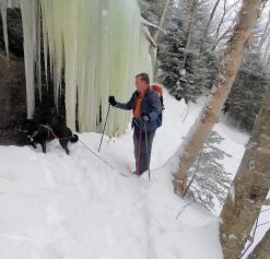 Tubbs 3-Part Snowshoe Poles -Freedom Camping Store laraway 25