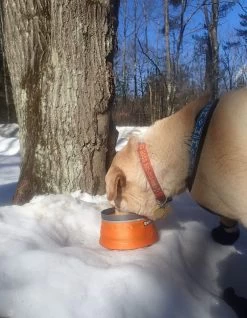 Ruffwear Bivy Bowl -Freedom Camping Store ledges bowl