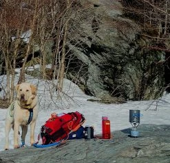 MSR PocketRocket -Freedom Camping Store pocket rocket