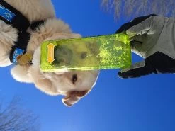 OllyDog OllyBottle -Freedom Camping Store ryder olly 5