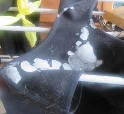 Stunt Puppy Sub Woofer -Freedom Camping Store snow in dog coat