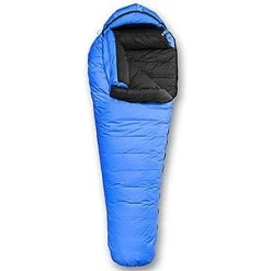 Feathered Friends Snowbunting