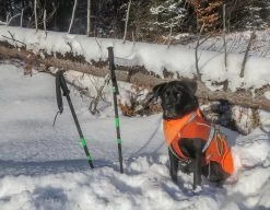 Ruffwear Overcoat Fuse Harness Jacket -Freedom Camping Store snowshoe13 2