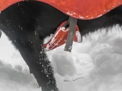 Ruffwear Overcoat Fuse Harness Jacket -Freedom Camping Store snowshoe61 31 fuse