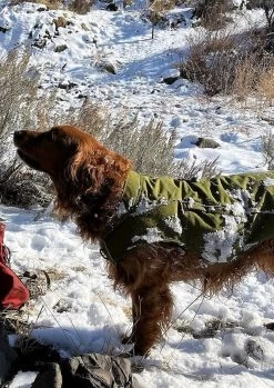 Ruffwear Overcoat Fuse Harness Jacket -Freedom Camping Store snowyruffwear