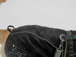 Stunt Puppy Sub Woofer -Freedom Camping Store tubbs40 28dec cat 22 SB 21 dogcoat