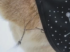 Stunt Puppy Sub Woofer -Freedom Camping Store tubbs49 8jan sterling cat 24 NB 18 dogcoat threads