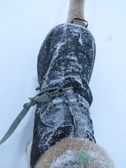 Stunt Puppy Sub Woofer -Freedom Camping Store tubbs51 10jan sterling valley 10 dog coat