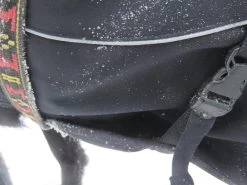 Stunt Puppy Sub Woofer -Freedom Camping Store tubbs53 15jan cat 22 SB 23 dog coat